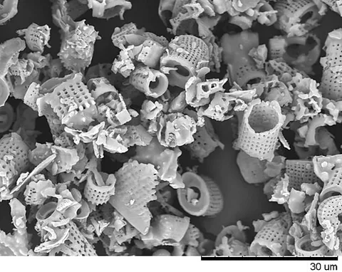 diatomaceous earth: a light soil consisting of siliceous diatom remains and often used as a filtering material or...