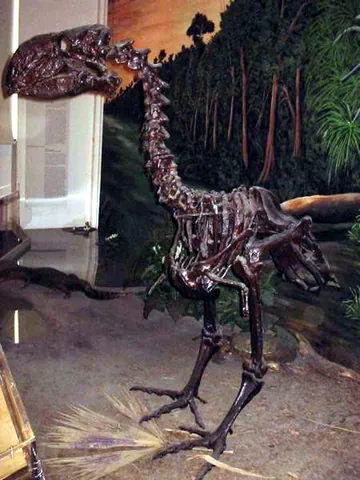 diatryma: a big-beaked prehistoric bird in the genus Gastornis, larger than the ostrich, believed to have...