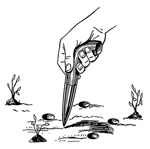 dibble: a pointed implement used to make holes in the ground in which to set out plants or to plant seeds