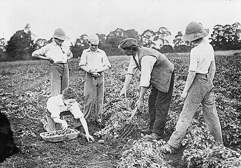 digging fork: a hand tool used in farming and gardening, with several short, sturdy tines and a straight handle...