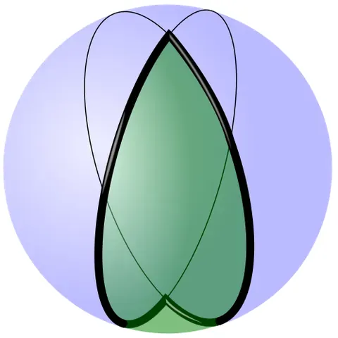 digon: a polygon having two edges and two vertices