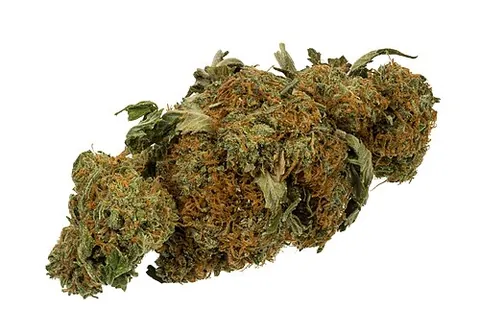 dime bag: a small bag (a baggie) containing ten dollars' worth (usually one gram) of marijuana