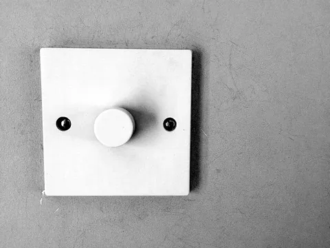 dimmer: a rheostat that is used to vary the intensity of a domestic electric light