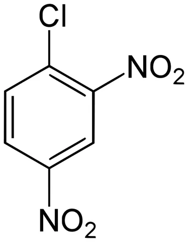 dinitrochlorobenzene: a chlorinated nitrobenzene compound containing a benzene ring substituted with two nitro groups and...