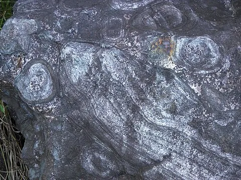diorite: a grey intrusive igneous rock composed mostly of plagioclase feldspar, biotite, hornblende and/or...