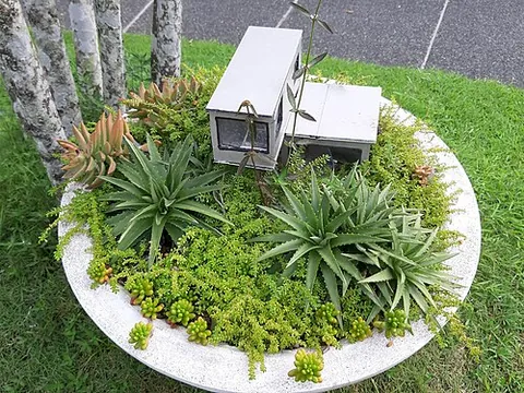 dish garden: a small, shallow container garden featuring miniature plants arranged to create a miniature...