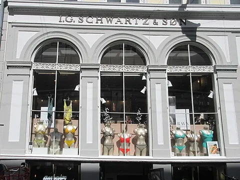 display window: a large window at the front of a shop, behind which items for sale are displayed