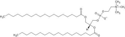 distearoylphosphatidylcholine: a form of lecithin (phosphatidylcholine) in which both acyl groups are stearoyls