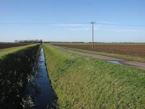 ditch: a trench; a long, shallow indentation, as for irrigation or drainage