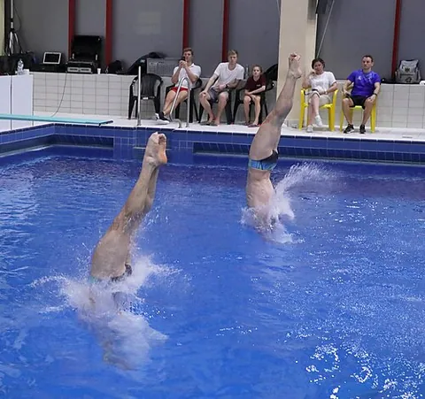 dive: to swim under water