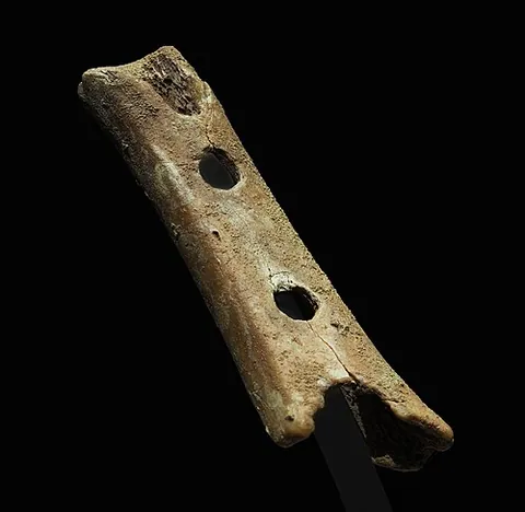 divje babe flute: a cave bear femur pierced by spaced holes, dating from the Late Pleistocene era, that was found in...