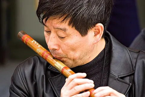 dizi: a transverse flute with a buzzing membrane used in Chinese music, usually made of bamboo