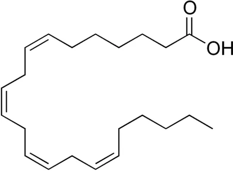 docosatetraenoic acid: synonym of adrenic acid