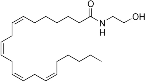 docosatetraenoylethanolamide: an endogenous fatty-acid ethanolamide derived from docosatetraenoic acid and structurally related...