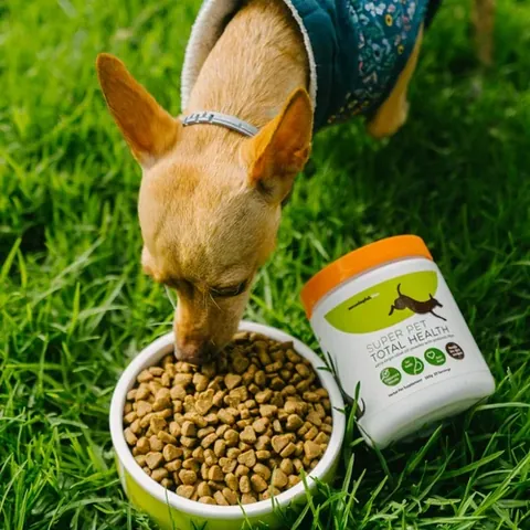 dog food: food eaten by or appropriate for dogs in general, whether wild or domesticated