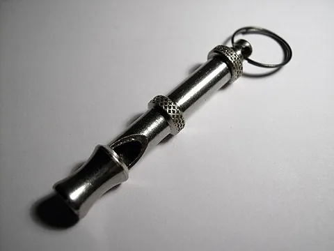 dog whistle: a high-pitched whistle, generally inaudible to humans, used to train dogs