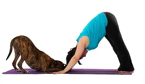 doga: the practice of yoga with pet dogs