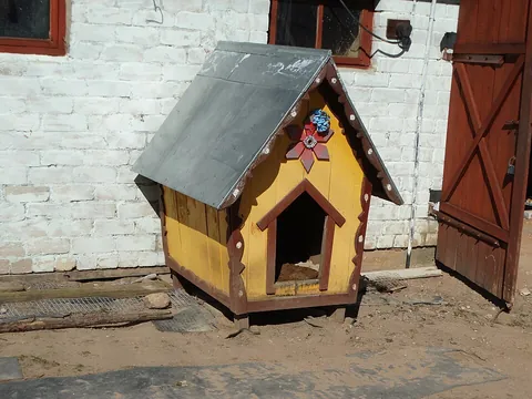 doghouse: any small house or structure or enclosure used to house a dog
