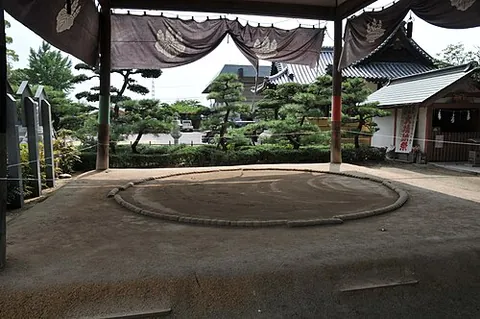dohyo: the ring, made of compacted clay, in which a sumo wrestling match is held