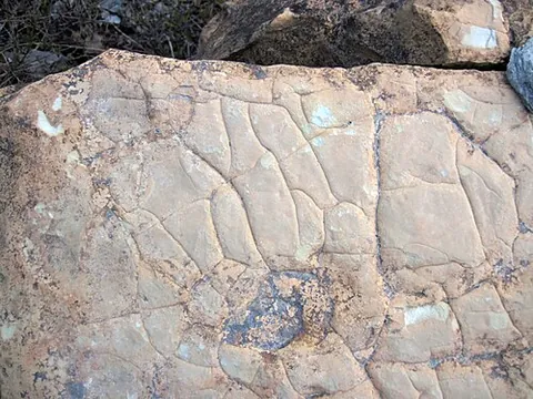 dolomicrite: a dolomite mudstone
