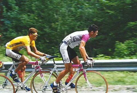 domestique: a cyclist on a cycle racing team whose role is to assist the team's designated leaders (for...