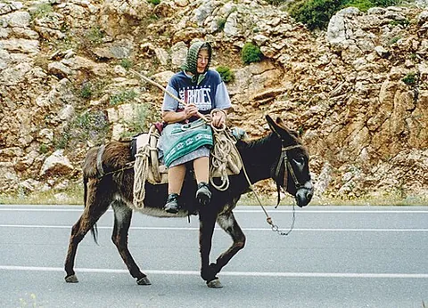 donkeyback: the back of a donkey