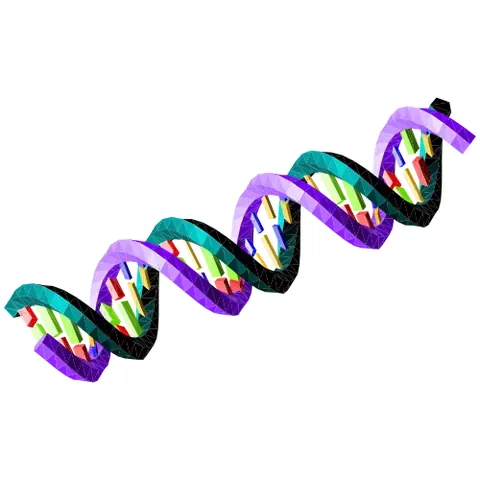 double helix: dNA
