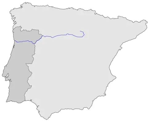 douro: a river in northern Spain and Portugal