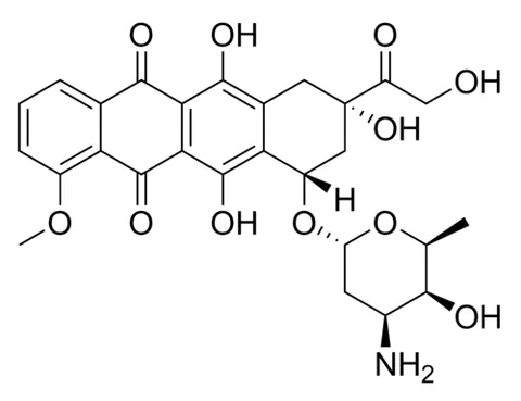 doxorubicin: an anthracycline antibiotic drug (trademark Adriamycin) with broad antineoplastic activity that is...