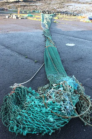dragnet: a net dragged across the bottom of a body of water