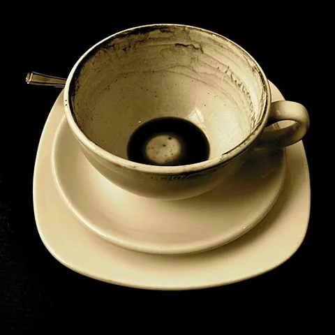 dregs: the sediment settled at the bottom of a liquid; the lees in a container of unfiltered wine