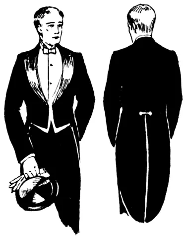 dress coat: a usually black evening tailcoat worn by men as part of the white tie dress code