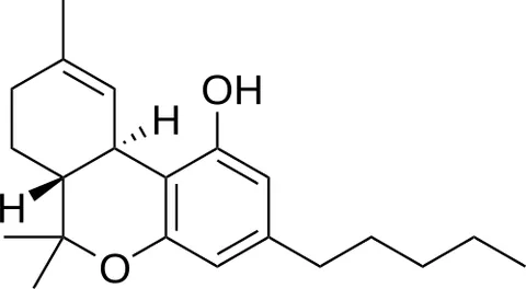 dronabinol: a synthetic delta-9-tetrahydrocannabinol that is used to control nausea caused by chemotherapy and...