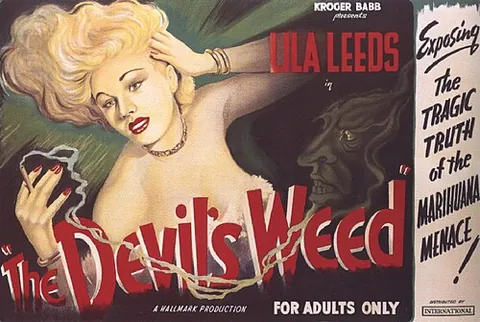 drugsploitation: a genre of exploitation films which focus on the use of recreational drugs, typically featuring...