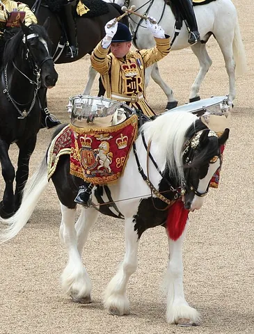 drum horse: a horse that carries a rider and two silver kettle drums in certain ceremonies of state