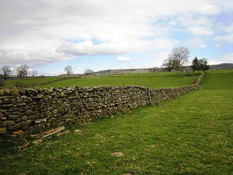 dry stone wall: a wall (typically around a field) made of heaped stones without any mortar