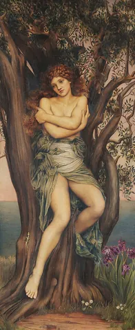 dryad: a female tree spirit; a woodnymph or tree nymph