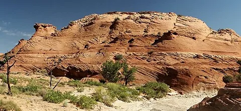 drygulch: to murder; to attack, assault, especially in an ambush