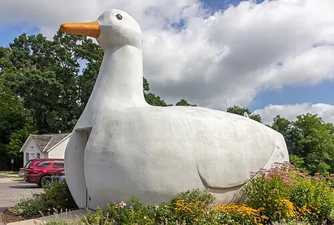 duck architecture: a style of novelty building where the structure's shape is the direct representation of its function