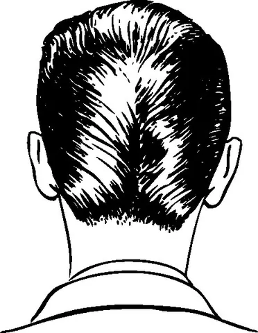 ducktail: a hairstyle in which the hair is swept back into an upturned point at the back