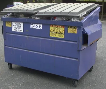 dumpsterful: synonym of skipload