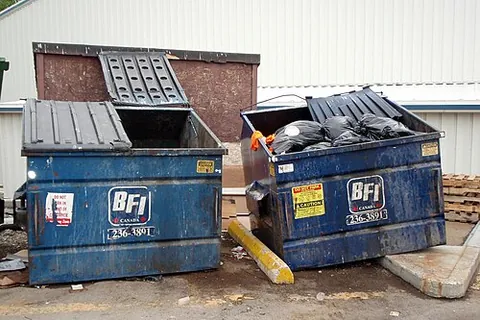 dumpsterload: synonym of skipload