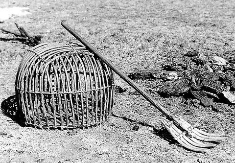 dungfork: a fork for tossing dung