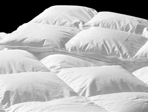 duvet: a quilt or usually flat cloth bag with a filling (traditionally down) and usually an additional...