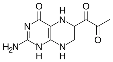 dyspropterin: a chemical intermediate in the body’s pathway for making tetrahydrobiopterin, a cofactor needed for...