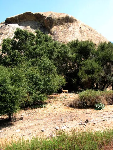 eagle rock: a neighborhood of Los Angeles, California, United States