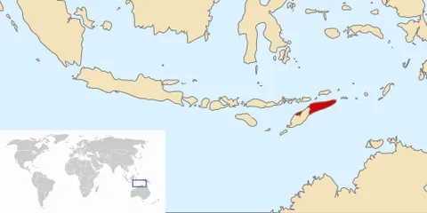 east timor: a country in Southeast Asia occupying half the island of Timor. Official name: Democratic Republic...