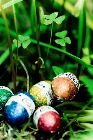 easter egg hunt: a common festive activity held at Easter, where Easter eggs are hidden outdoors or indoors for...