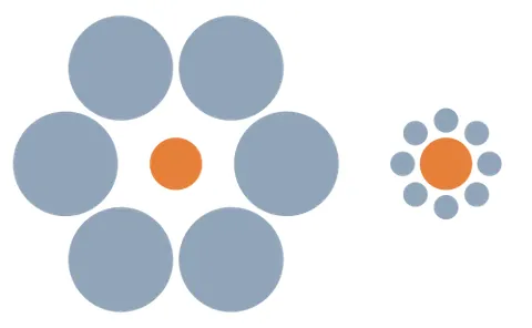 ebbinghaus illusion: an optical illusion whereby a disk appears smaller if surrounded by larger disks than if by smaller