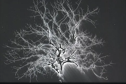 eberhard effect: the situation where narrow areas of high and low density cause two Mackie lines to meet, resulting...